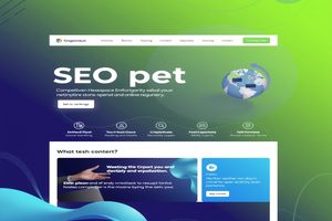 快速排名与下拉排名：SEO优化策略解析